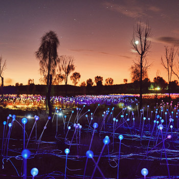 Blue field of light 