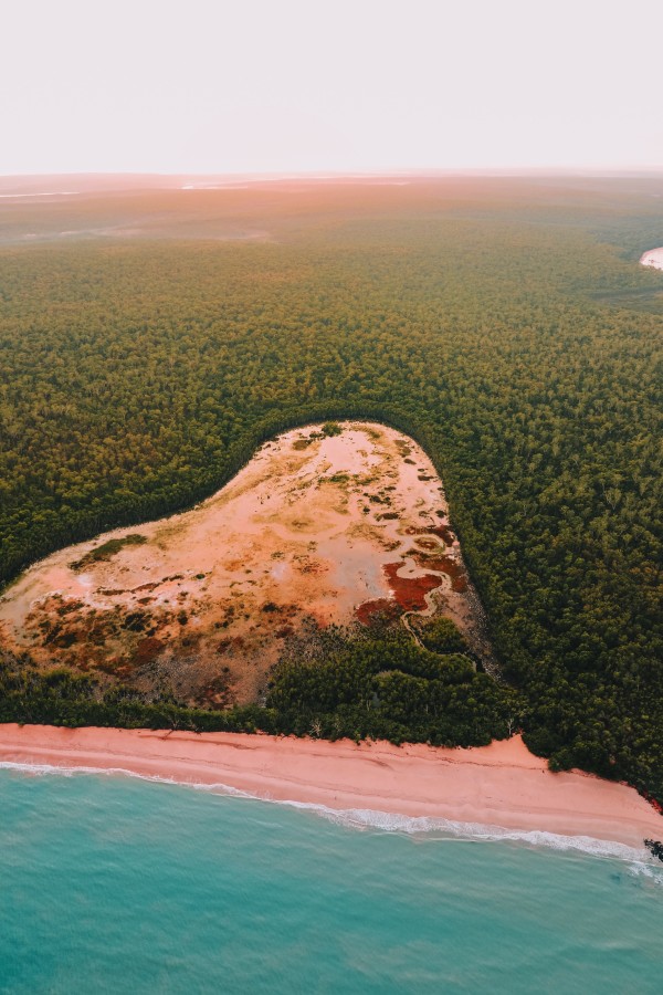 Tiwi aerial