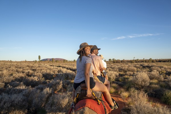 Uluru Camels