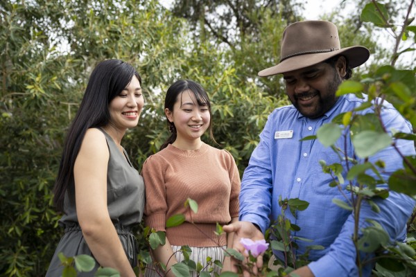 Ayers Rock Resort free activities